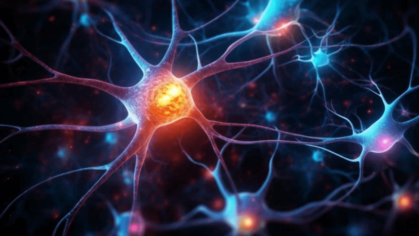 Neuroscientists Capture Brain Cells Adapting in Real Time