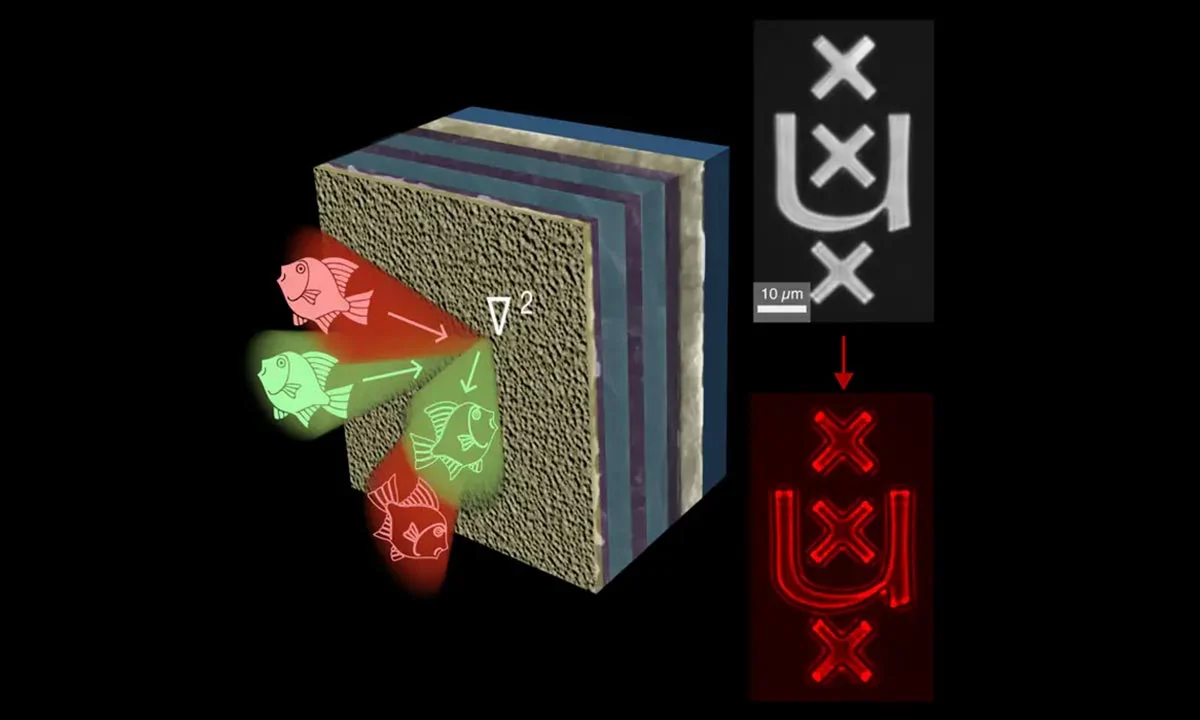 Light-Speed Imaging: A Breakthrough in Edge Detection